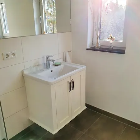Apartment Camenia