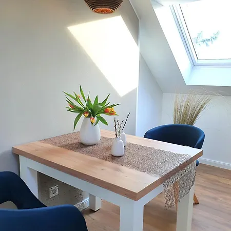Apartment Camenia
